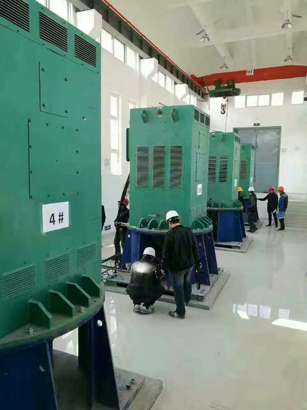 襄城某污水处理厂使用我厂的立式高压电机安装现场现货销售